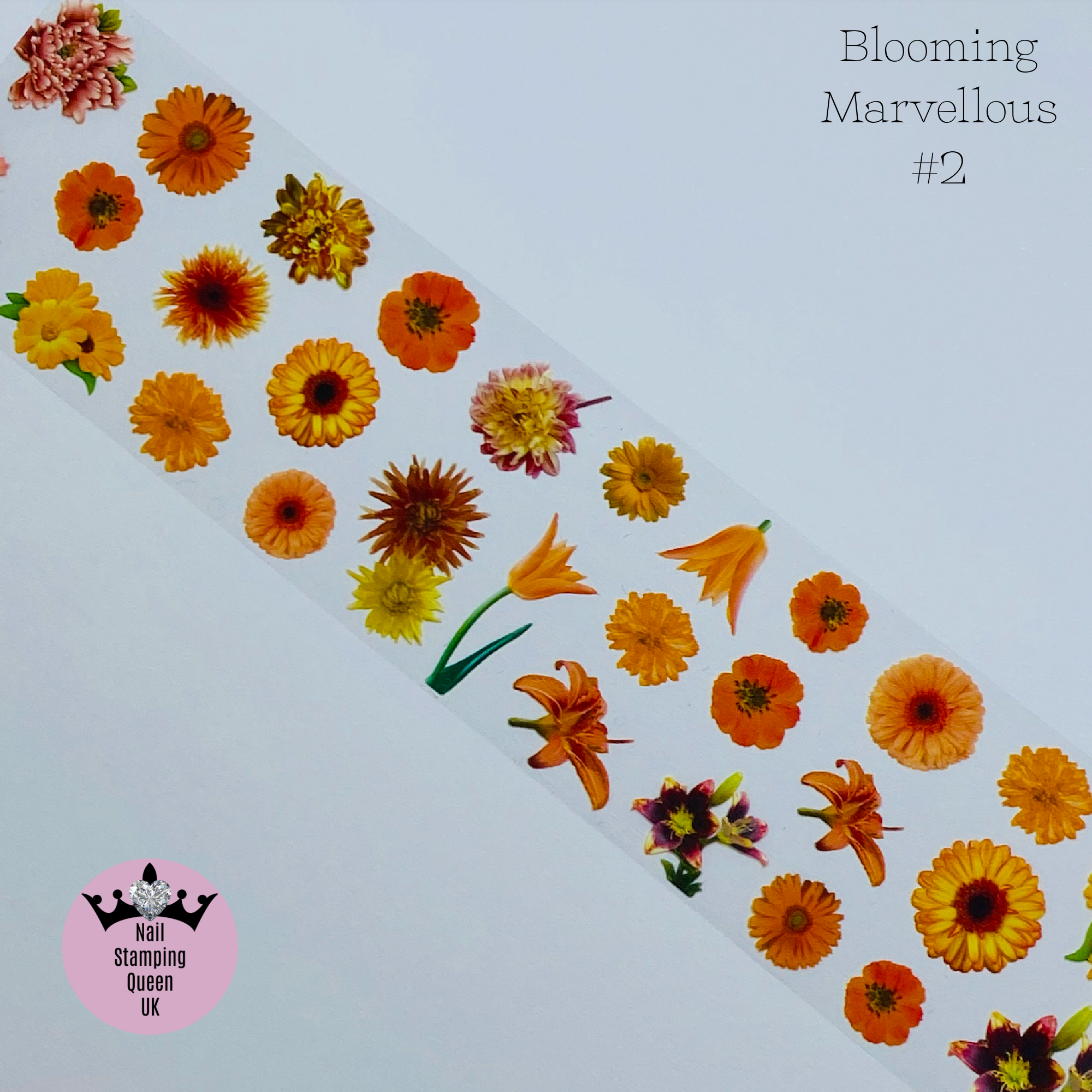 Blooming Marvellous Transfer Foil Collection