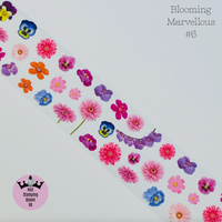 Blooming Marvellous Transfer Foil Collection