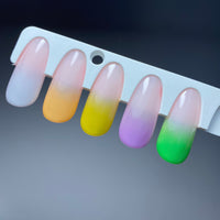 100pc Sponge Ombre Kit + Tool