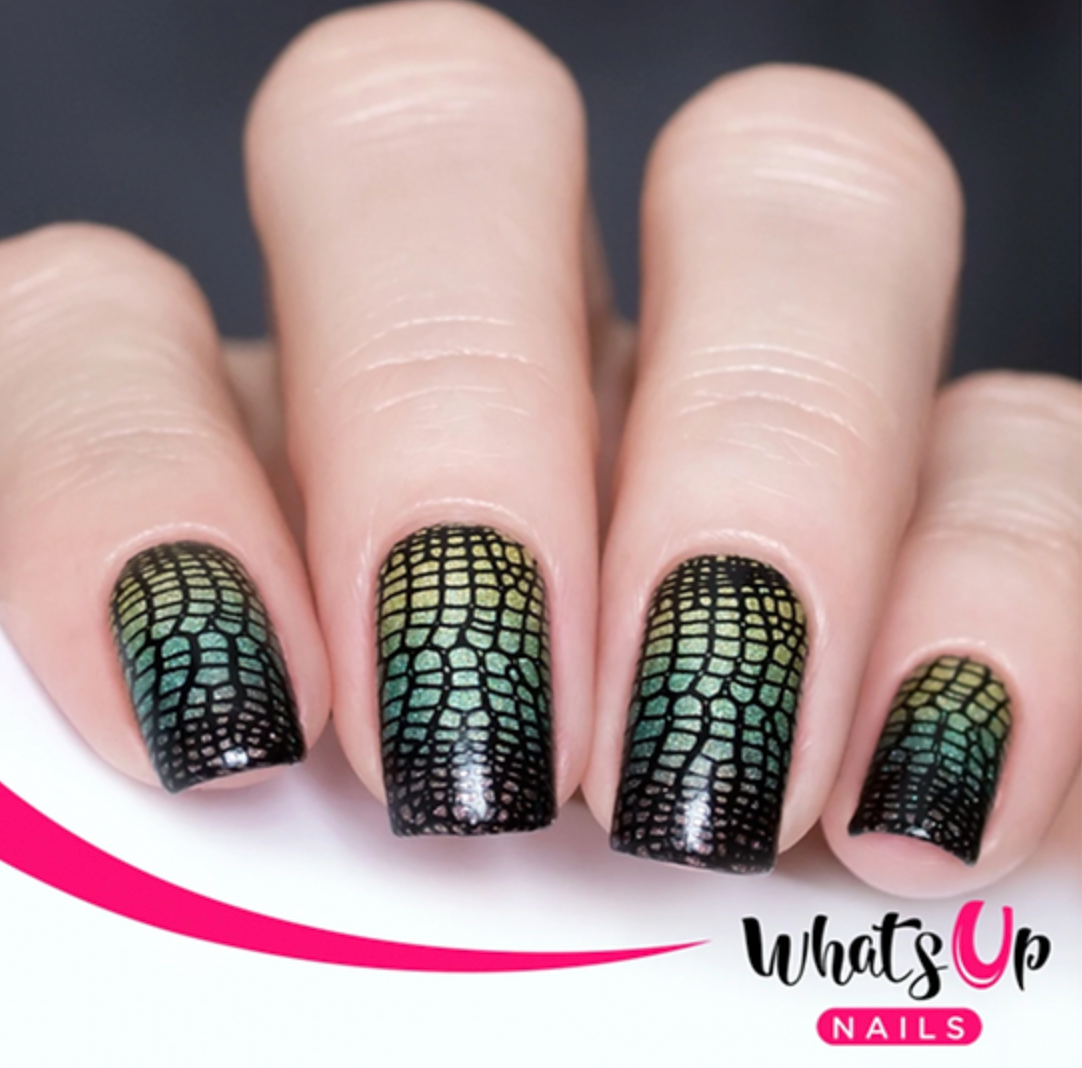 Whats Up Nails Zoology Trip Stamping Plate