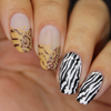 Whats Up Nails Zoology Trip Stamping Plate