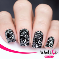 Whats Up Nails Zoology Trip Stamping Plate