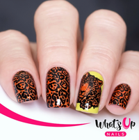 Whats Up Nails Zoology Trip Stamping Plate