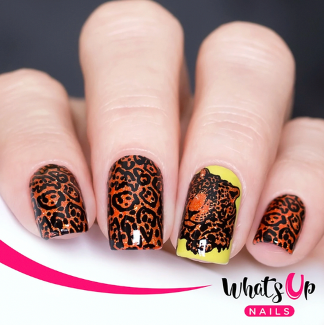 Whats Up Nails Zoology Trip Stamping Plate