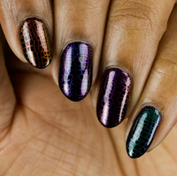Whats Up Nails Zoology Trip Stamping Plate