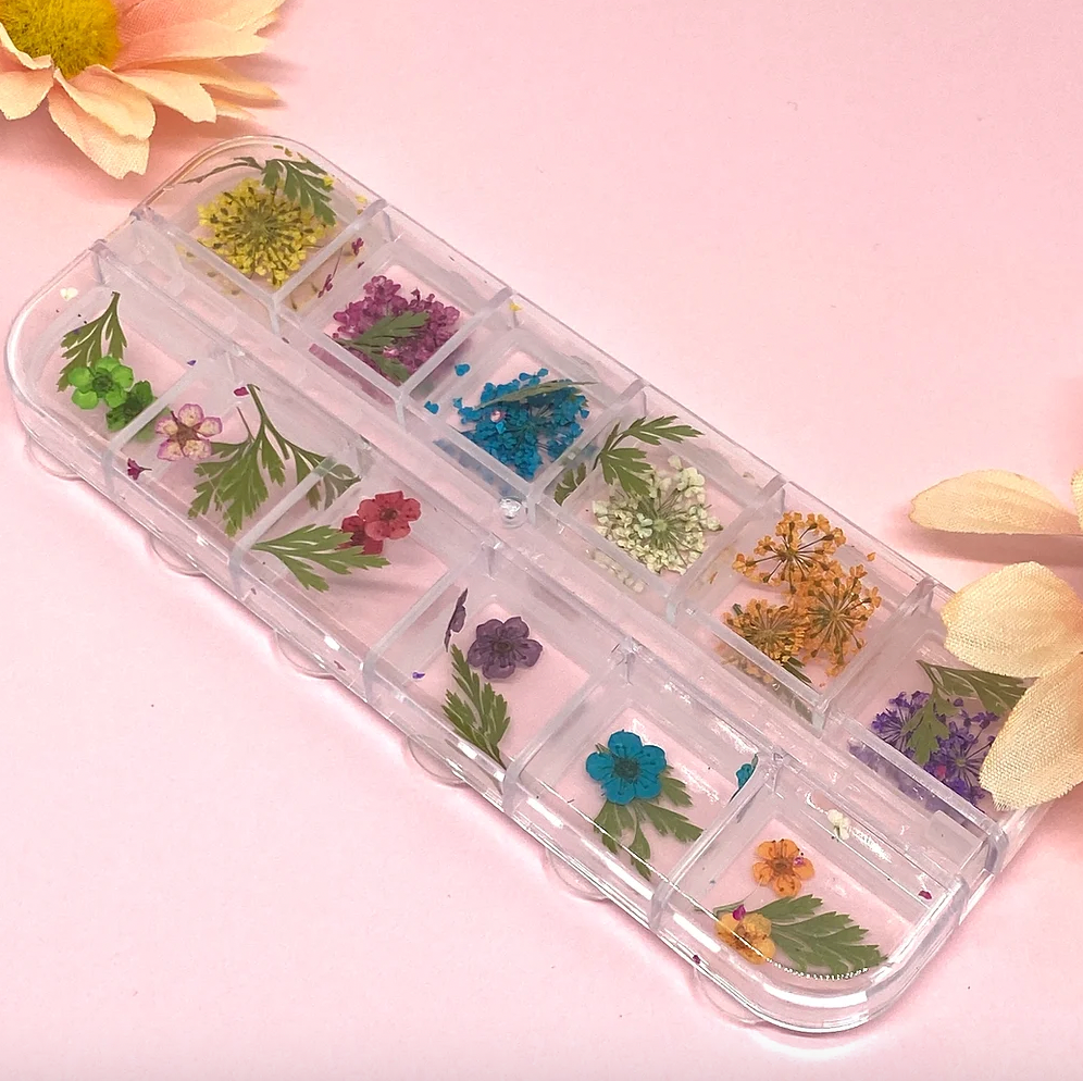 Dried Flower Collection - Mixed