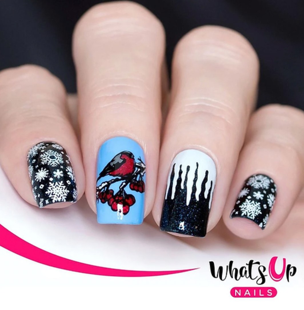 Whats Up Nails Icy Wonderland Stamping Plate