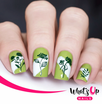Whats Up Nails Floralize Your Texture Stamping Plate